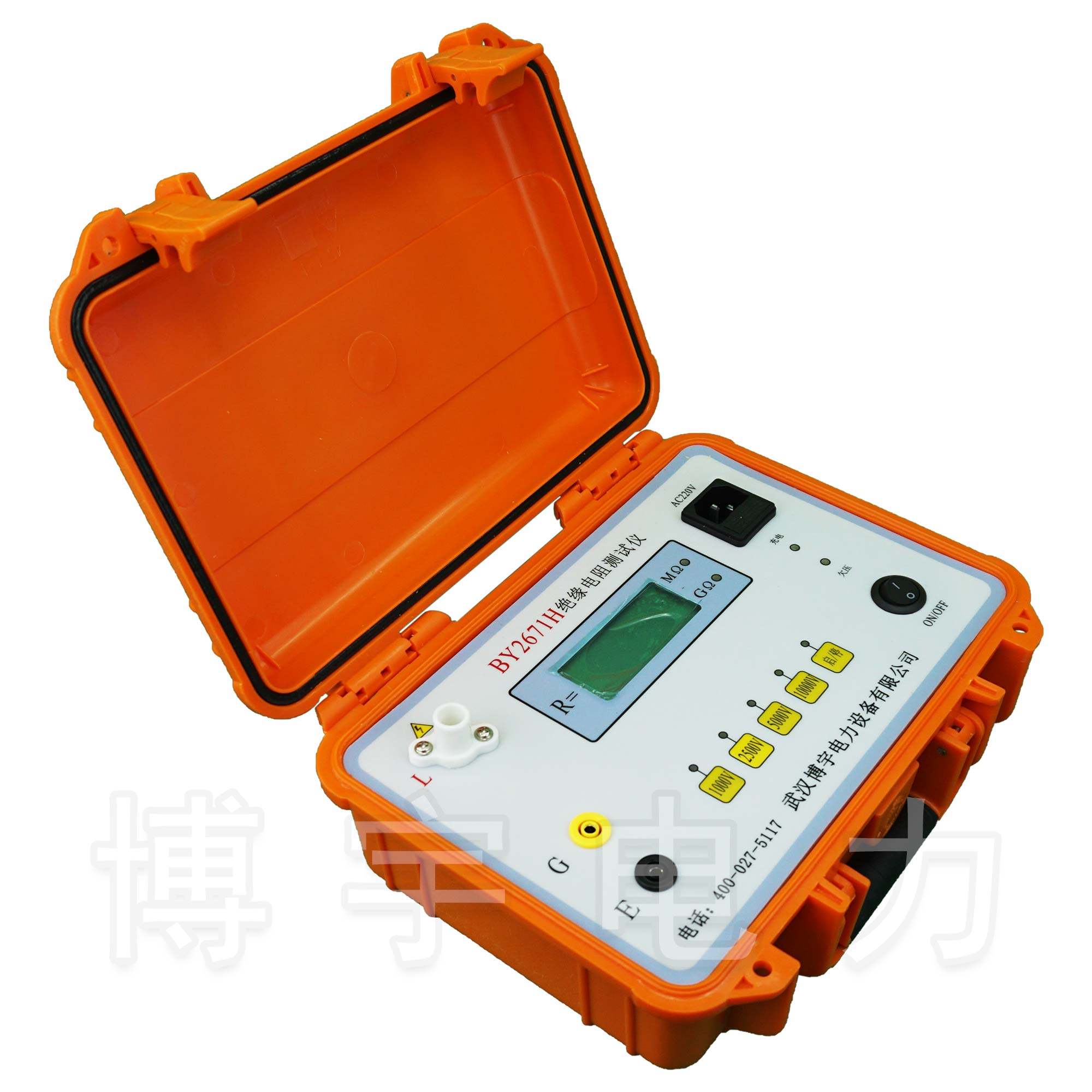 絕緣電阻測(cè)試儀(10000V)